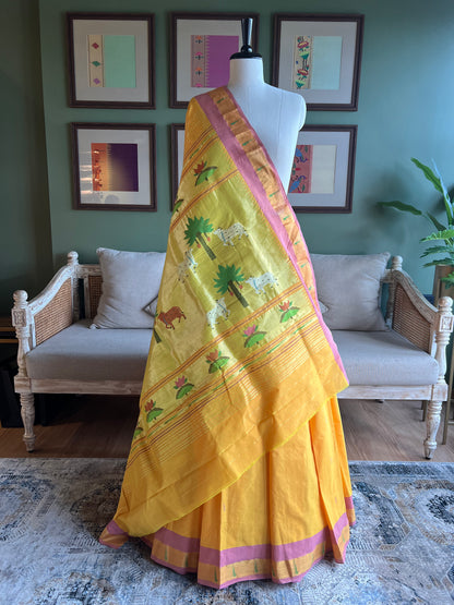 Yellow Cotton Paithani with Muniya Border and Pichwai Pallu
