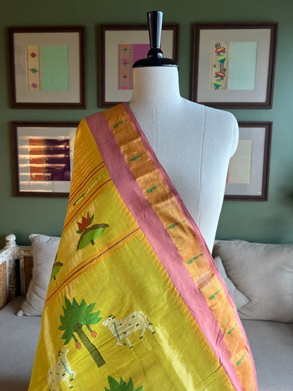 Yellow Cotton Paithani with Muniya Border and Pichwai Pallu