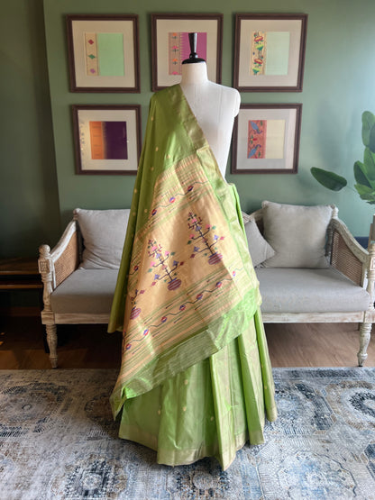 Pista Green Paithani with Asavali Pallu