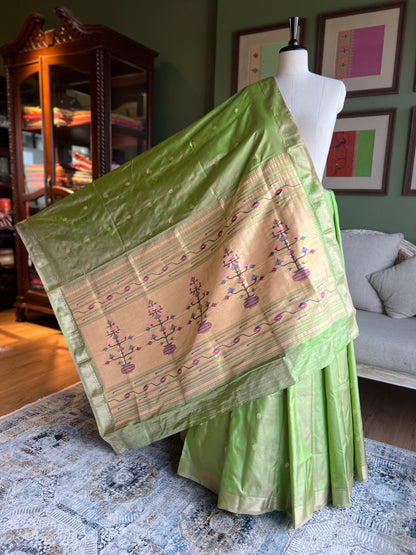 Pista Green Paithani with Asavali Pallu