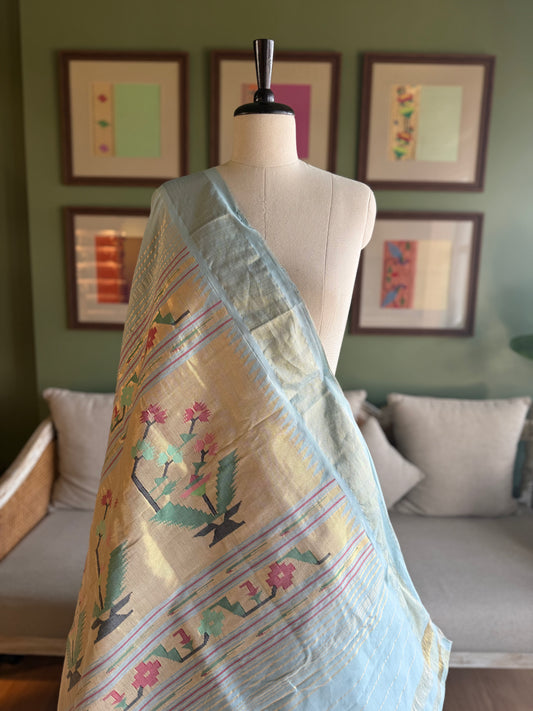 Pale Blue Cotton Paithani with Asavali Pallu