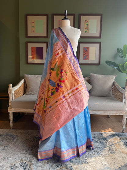 Light Blue Paithani with Peacock Parrot Pallu
