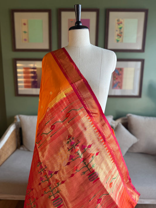 Mango Paithani with Contrast Border and Asavali Pallu