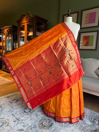 Mango Paithani with Contrast Border and Asavali Pallu