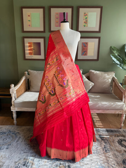 Red Paithani with Muniya Border and Asavali Pallu