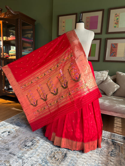 Red Paithani with Muniya Border and Asavali Pallu