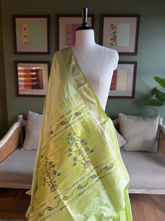 Lime Green Paithani with Asavali Pallu